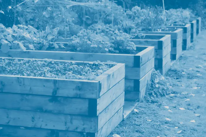 Garden - risk management in Edmonton